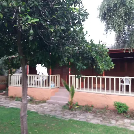 Oll Garden *