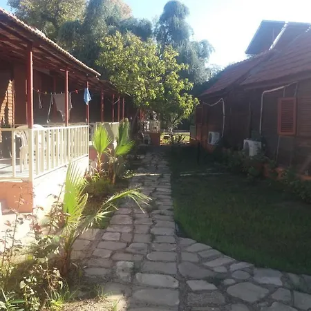 Oll Garden סייד