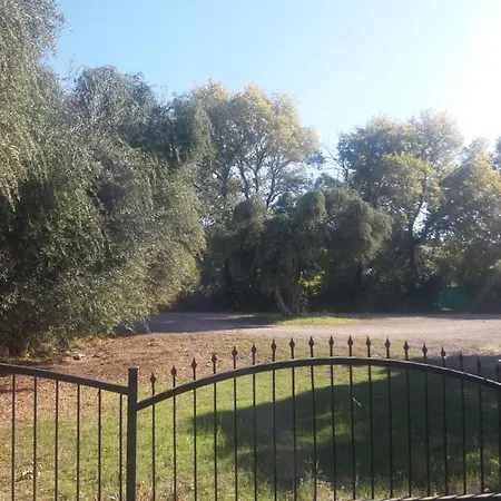 Oll Garden